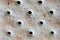 Saltine Cracker background