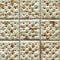 Saltine cracker closeup