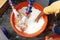 Salting and drying grey mullet roe