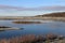 Saltmarsh, Allen Hide, Leighton Moss, Silverdale