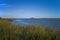 Saltmarsh along the Delaware coast in USA in late afternoon sun