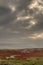 Saltmarsh in autumn colors under dark clouds