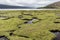 Saltmarsh in Scotland