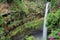 Salto de San Anton waterfall in cuernavaca morelos V