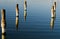 Salton Sea Pilings