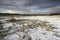 Saltpeter on the floor of a lagoon in a semi desert environment, La Pampa province,