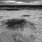 Saltpeter on the floor of a lagoon in a semi desert environment, La Pampa province,