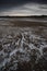 Saltpeter on the floor of a lagoon in a semi desert environment, La Pampa province,