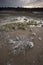 Saltpeter on the floor of a lagoon in a semi desert environment, La Pampa province,