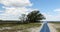 Saltwater marsh, trees and pathway to a gulf coast cove