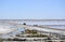 Saltworks: Saline-de-Giraud, Camargue