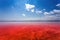 The salty shore of the Laguna Salada de Torrevieja.Spain.