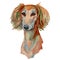 Saluki dog, persian greyhound
