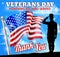 Saluting Soldier Veterans Day American Flag