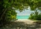 Salvador, Bahia, Brazil. Panorama landscape of caribbean palm trees. Coastal beach palm trees. Caribbean scene