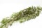 Salvia rosmarinus plant for alternative natural medicine on white background