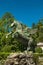 SALZBURG, AUSTRIA - June 03, 2019: Nice bronze statue of Pegasus in Mirabellgarten, Salzburg