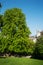 Salzburg Mirabellgarten, beautiful day, a chestnut tree
