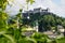 Salzburg panorama with fortress Hohensalzburg during summer time behind efeu, Salzburg, Austria