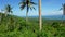 samana viewpoint