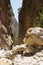 Samaria Gorge