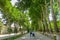 Samarkand University Boulevard Park 03