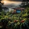 Samba of the Coffee Fields: Brazilian Plantation Under Azure Skies