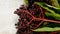 Sambucus berries. Elderberry berries on shabby wooden background.Elderberry branches. healing plant .Green pharmacy and