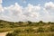 Samburu landscape viewed through swarm of invasive, destructive Desert Locusts. This flying pest is difficult to control and