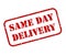 Same Day Delivery Rubber Stamp Vector