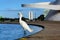 Samll egret stand near the water