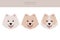 Samoyed dog clipart. Different poses, coat colors set