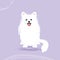 Samoyed dog face portrait cartoon illustration