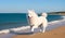 Samoyed dog running along the seashore. Generative AI