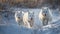 Samoyed puppy running in winter snow, playful fun generative AI
