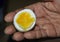 SAMPLE EGG FOOD