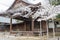 Sample tree of Somei-Yoshino cherry blossoms at Yasukuni Shrine in Chiyoda, Tokyo, Japan. Sample tree observed by Japan Meteorolog