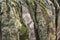 Samples camouflage military clothes