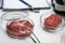 Samples of cultured meats on white lab table