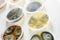 Samples in petri dishes of different types of fungi and bacteria to analyze contaminated water and