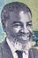 Samuel Daniel Shafiishuna Nujoma a portrait