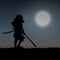 A Samurai Under The Moonlight