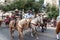 San Antonio Rodeo Parade Riders