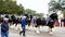 San Antonio, Texas USA - February 3 2018: Clydesdale horses pull stagecoach past the Alamo