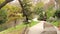 San Antonio, Tx - 25 Jan 2020: The beautiful Riverwalk in the King William District is tree lined. A runner is jogging toward