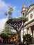 San CristÃ³bal de La Laguna on Tenerife- the cathedral