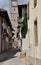 San Daniele, Friuli Venezia Giulia. central alley