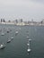 San Diego marina sailing boats