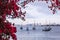 San Diego Waterfront with flowers and boats