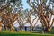 San Diego Waterfront Public Park, Marina and the San Diego Skyline. California, United States.